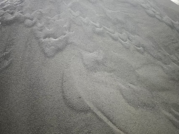 C01.jpg
